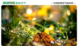 步入秋天，空氣凈化器不可或缺